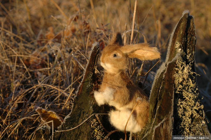 Утро в сибирском лесу — Авторские мишки Тедди и друзья: фото (фото 6)