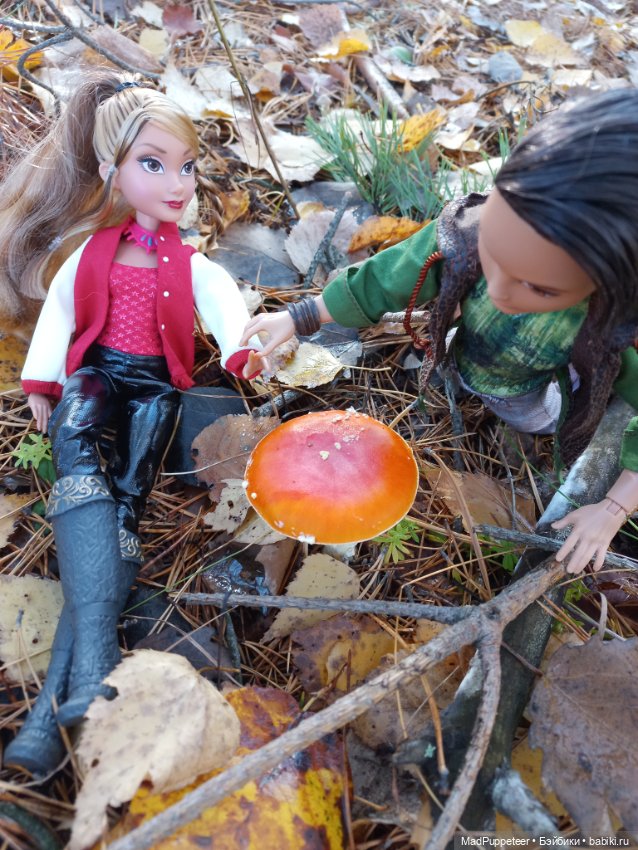 Прогулка в лесу — Аналоги Барби и куклы 1/6: клоны 90 (фото 2)