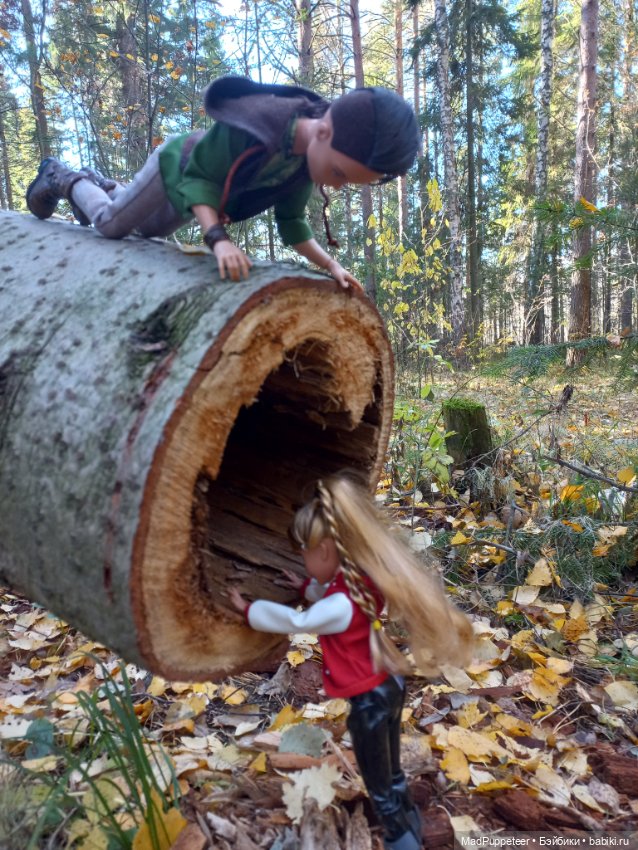 Прогулка в лесу — Аналоги Барби и куклы 1/6: клоны 90