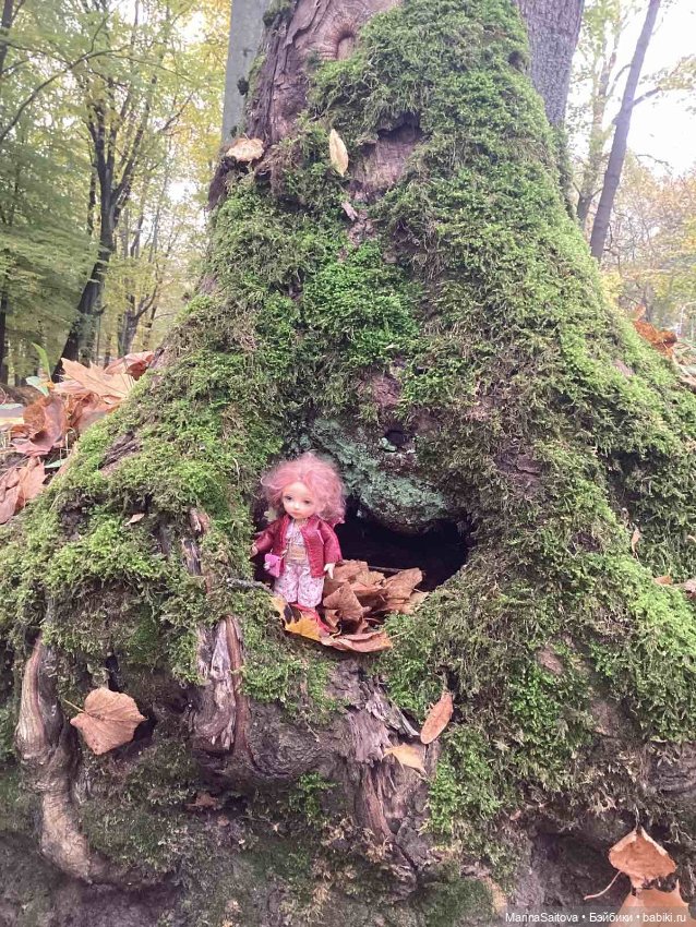 Нечаянное путешествие. Калининград