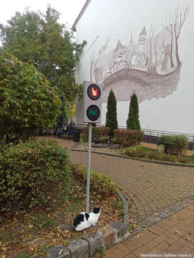 В поисках янтаря — Туризм и путешествия: фотоотчеты из поездок