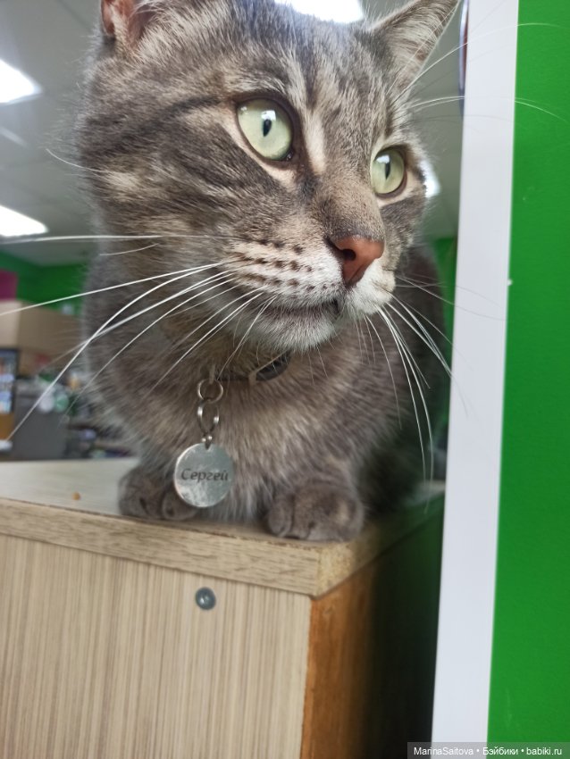 В поисках янтаря — Туризм и путешествия: фотоотчеты из поездок