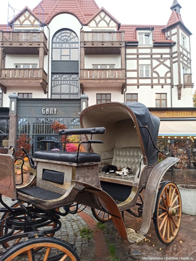 В поисках янтаря — Туризм и путешествия: фотоотчеты из поездок