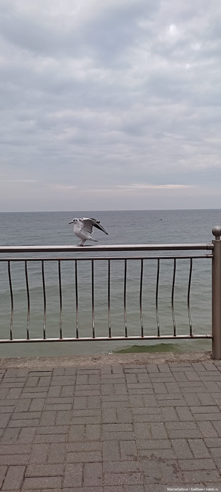 В поисках янтаря — Туризм и путешествия: фотоотчеты из поездок