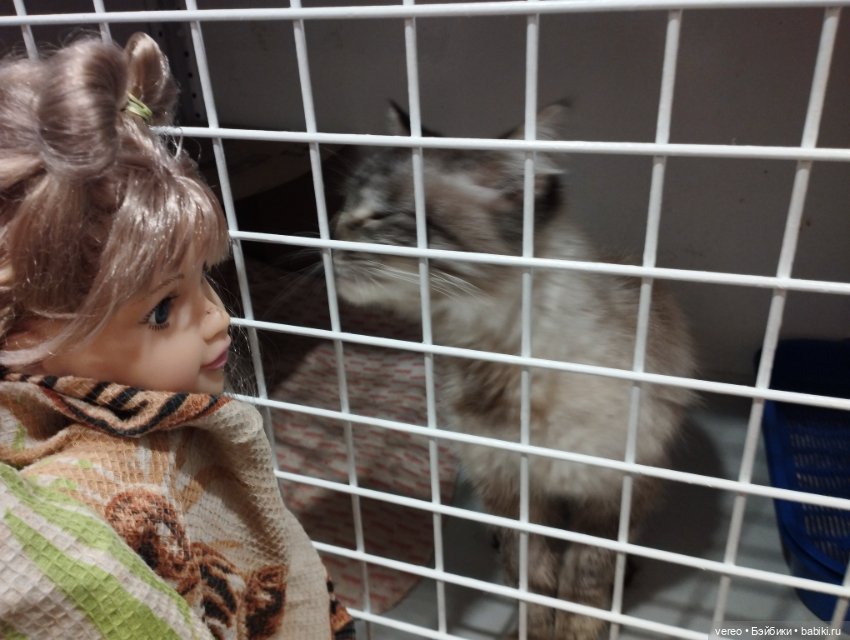 Идентификация Милы — Игровые куклы разных производителей (Разное): редкие бренды (фото 5)