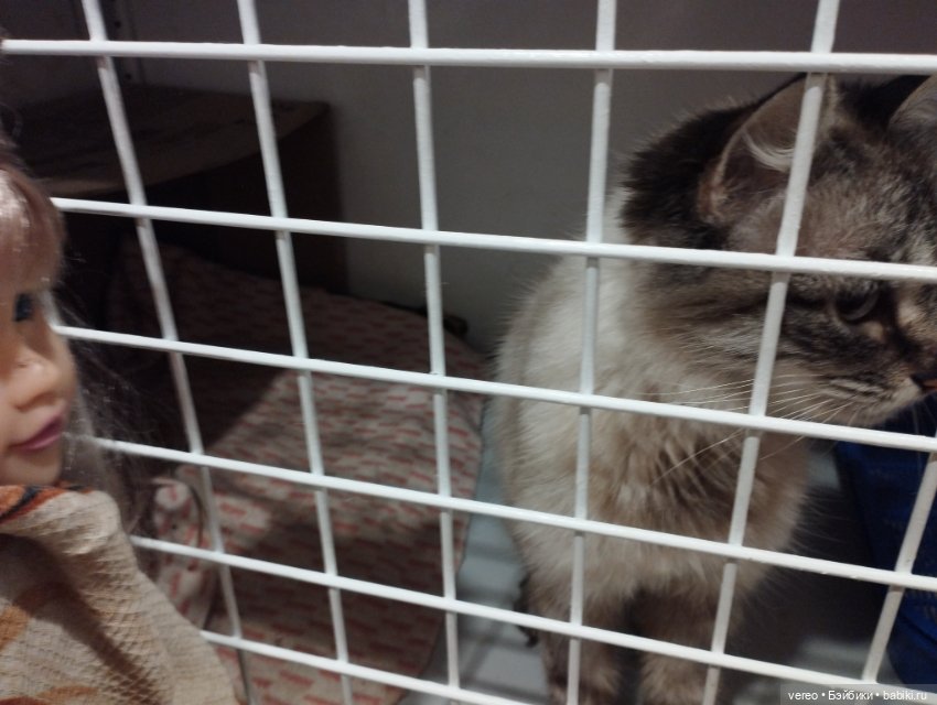 Идентификация Милы — Игровые куклы разных производителей (Разное): редкие бренды (фото 6)