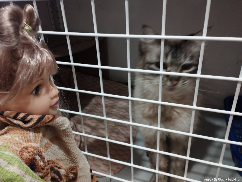 Идентификация Милы — Игровые куклы разных производителей (Разное): редкие бренды (фото 4)