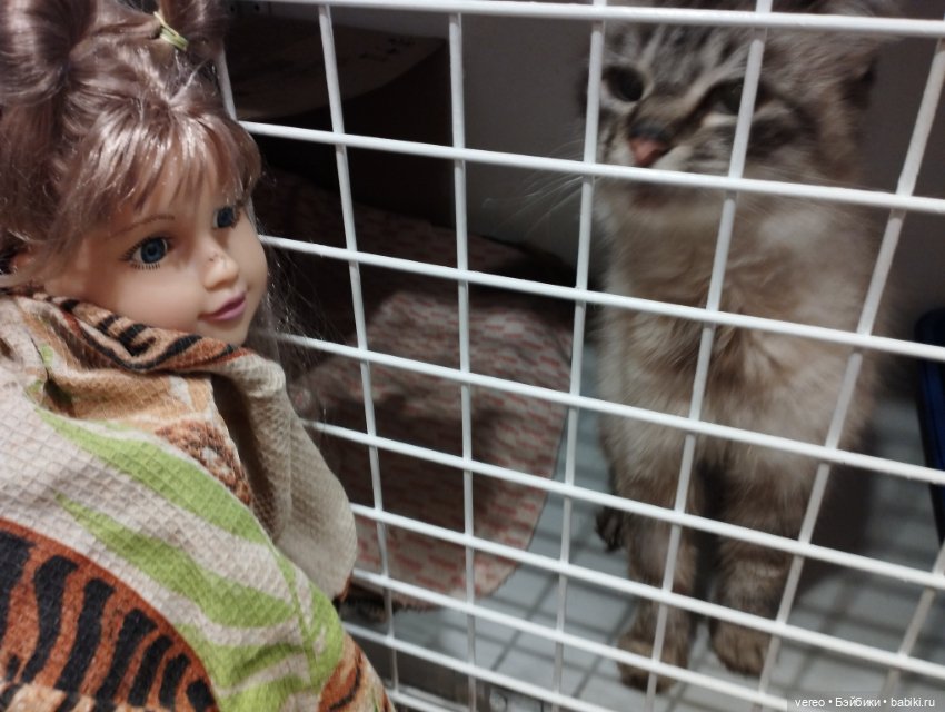 Идентификация Милы — Игровые куклы разных производителей (Разное): редкие бренды (фото 7)