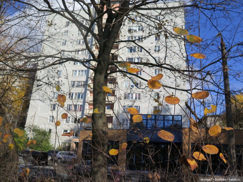 Madelin от Eden и осень в Подмосковье (фото 5)