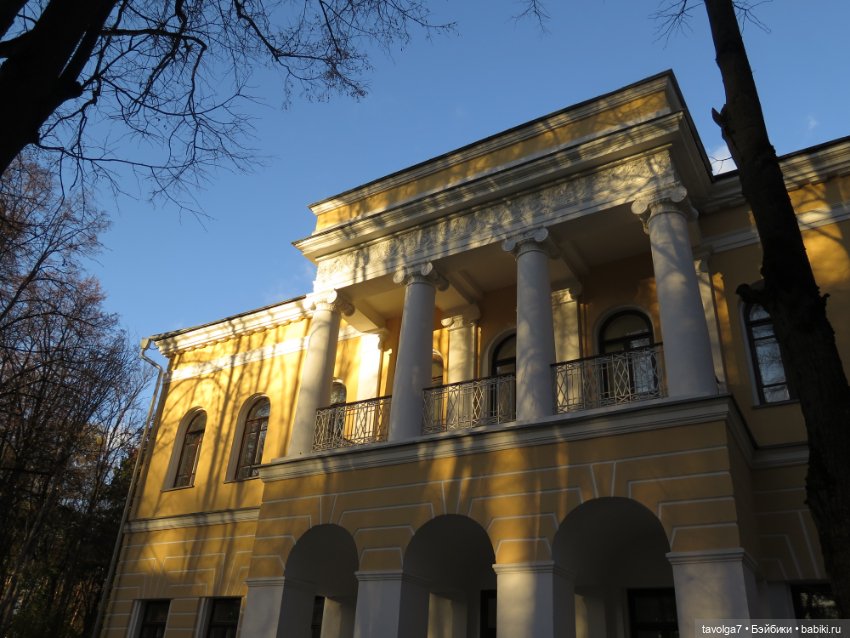 Madelin от Eden и осень в Подмосковье