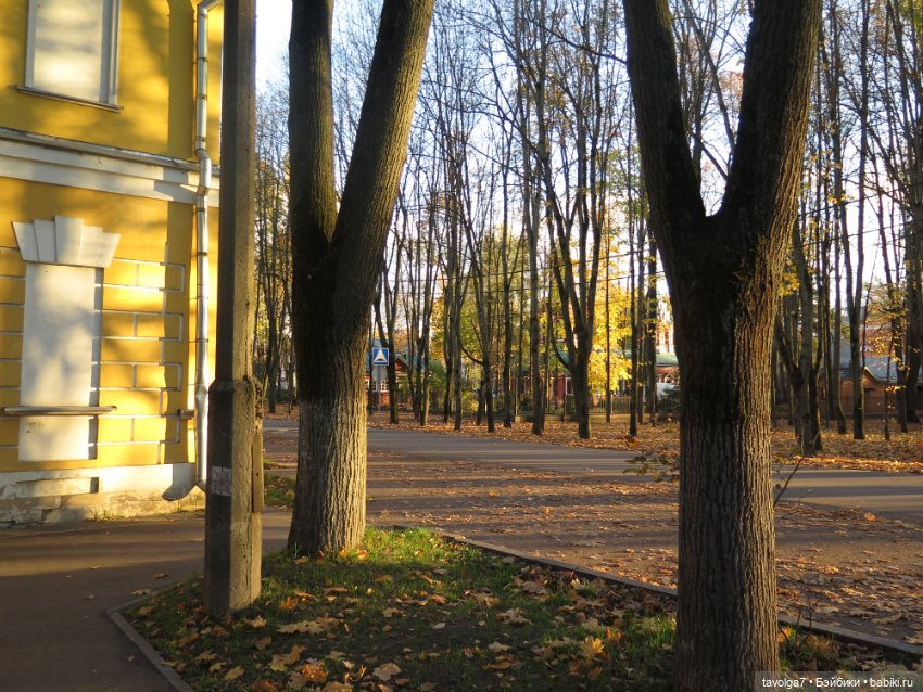 Madelin от Eden и осень в Подмосковье