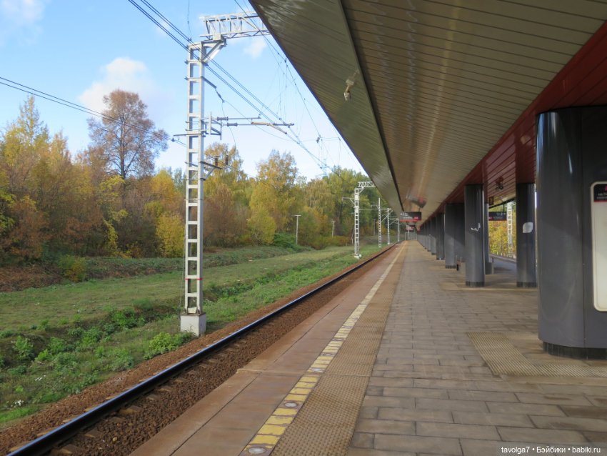 Madelin от Eden и осень в Подмосковье (фото 2)