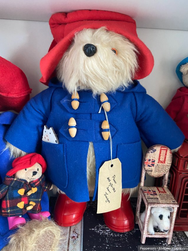 Мои Паддингтоны + наш булька (фото 7)