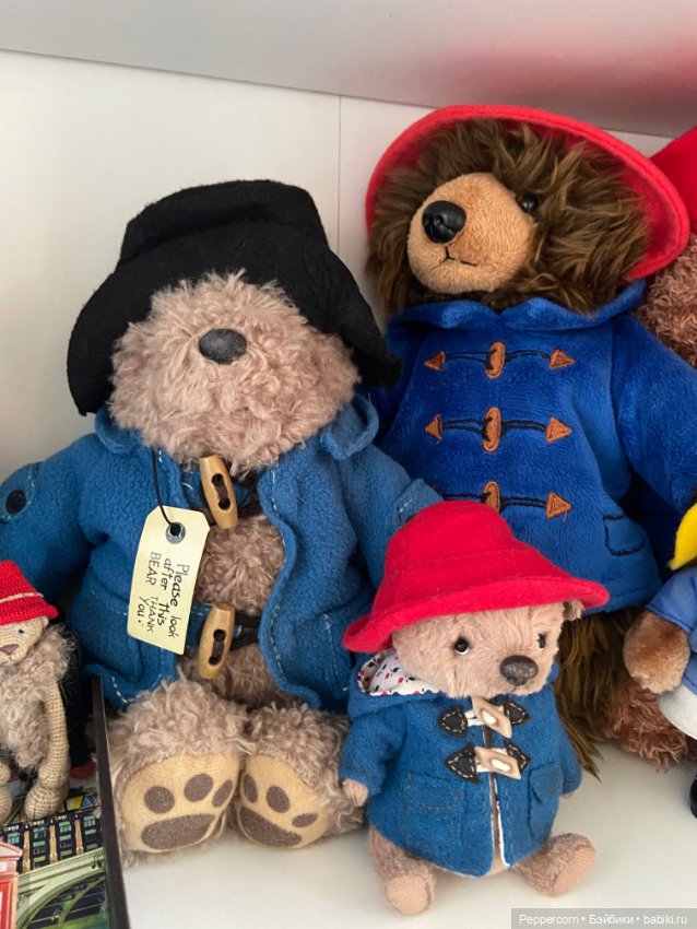 Мои Паддингтоны + наш булька (фото 5)