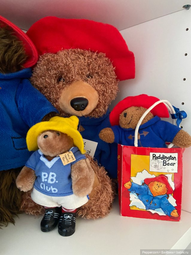 Мои Паддингтоны + наш булька (фото 9)