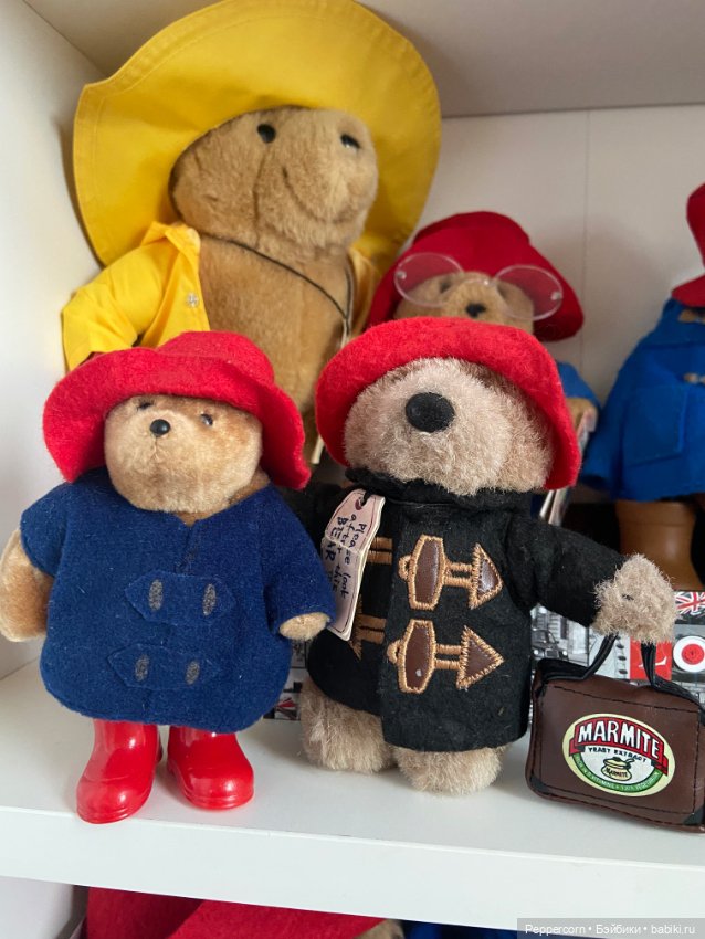 Мои Паддингтоны + наш булька (фото 3)