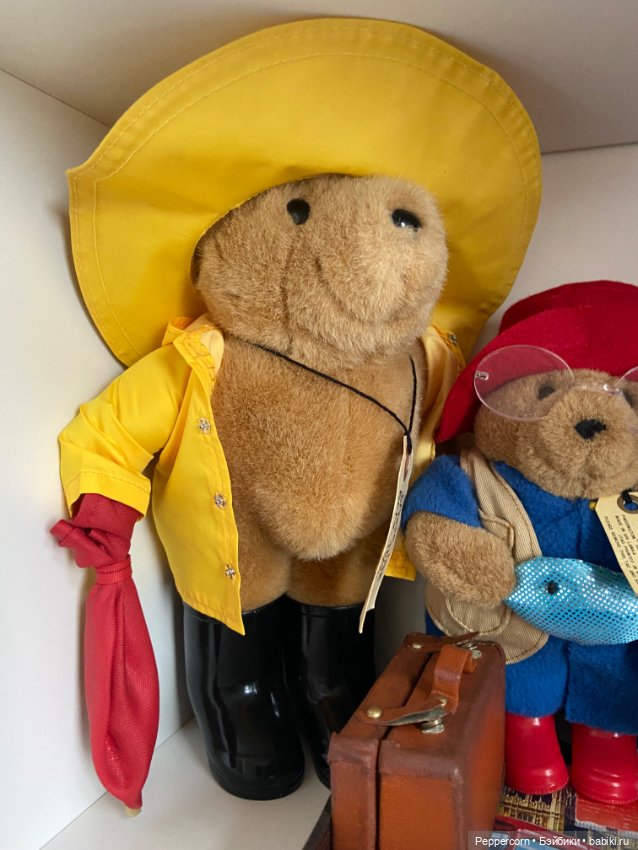 Мои Паддингтоны + наш булька (фото 4)