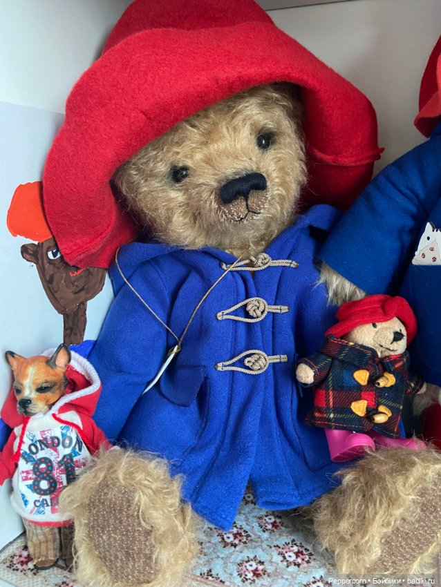 Мои Паддингтоны + наш булька (фото 6)