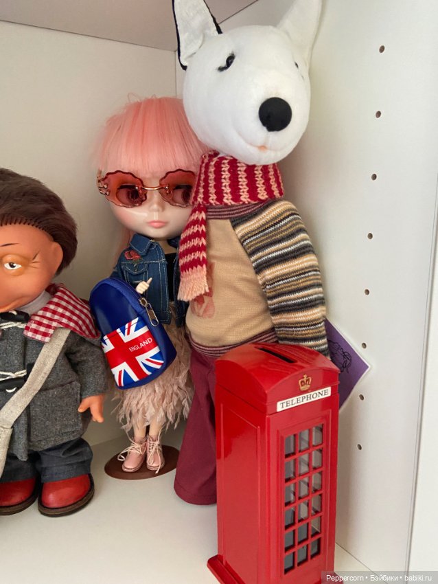 Мои Паддингтоны + наш булька