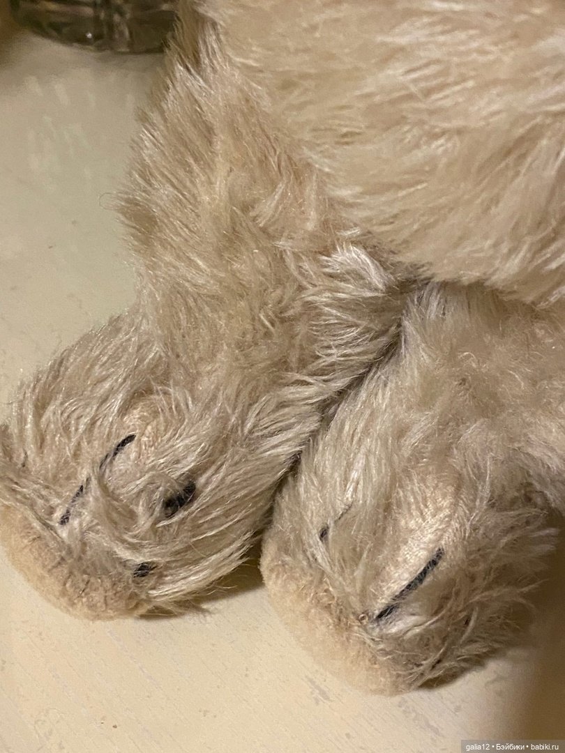 Невероятные приключения старенького мишки (фото 5)