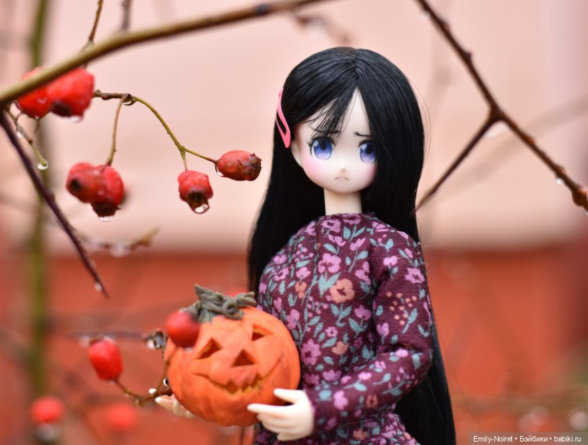 Настроение: Хэллоуин — Домашние коллекции кукол: фото собраний (фото 8)