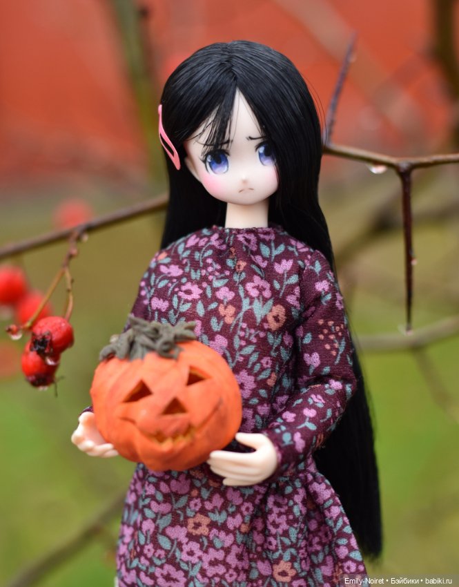 Настроение: Хэллоуин — Домашние коллекции кукол: фото собраний (фото 9)