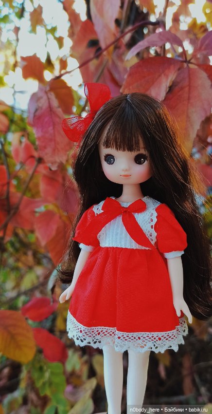 Вишенка — Азиатские виниловые куклы (разное): Китай (фото 3)