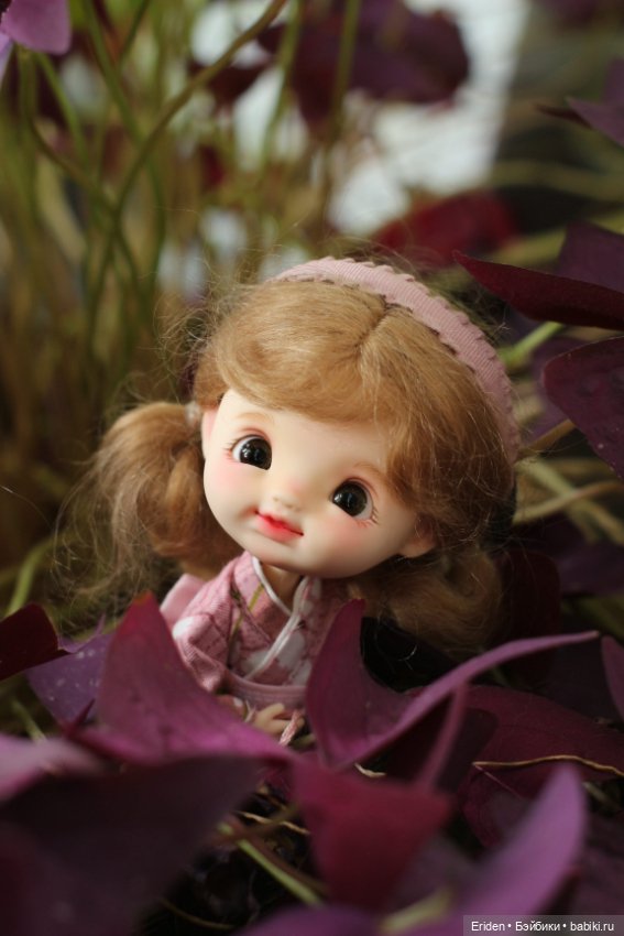 Новиночки STOdoll — Куклы и тела Obitsu (Обитсу): 1/6