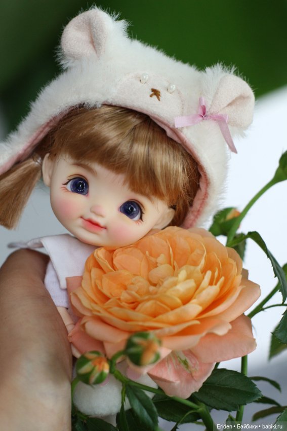 Новиночки STOdoll — Куклы и тела Obitsu (Обитсу): 1/6