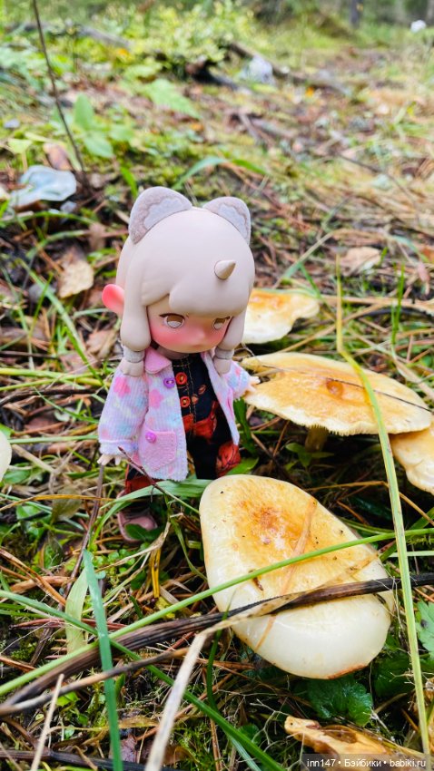 Куколка Penny’s box и прогулка в лес