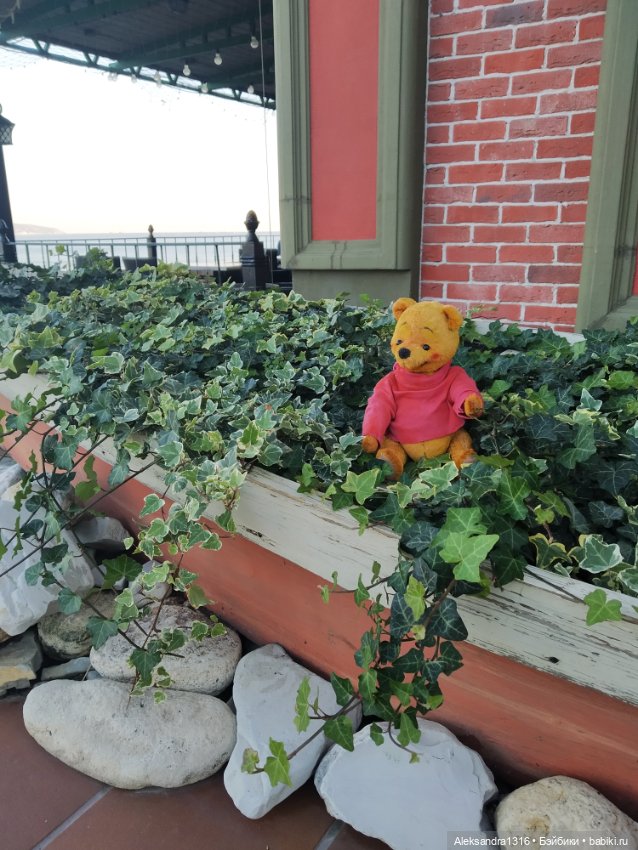 Пух и море...и я и 19 октября