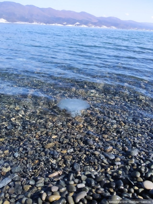 Пух и море...и я и 19 октября