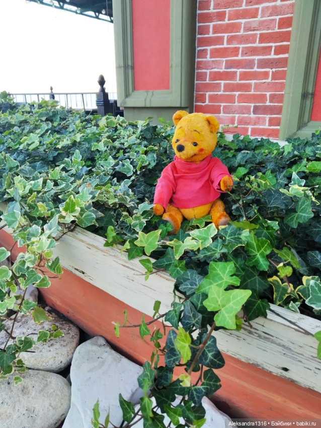 Пух и море...и я и 19 октября