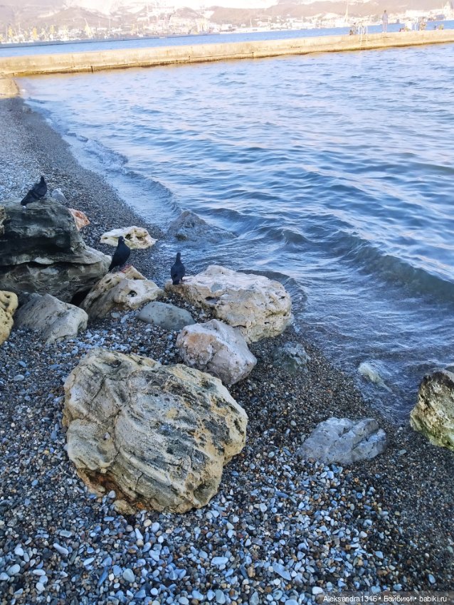 Пух и море...и я и 19 октября