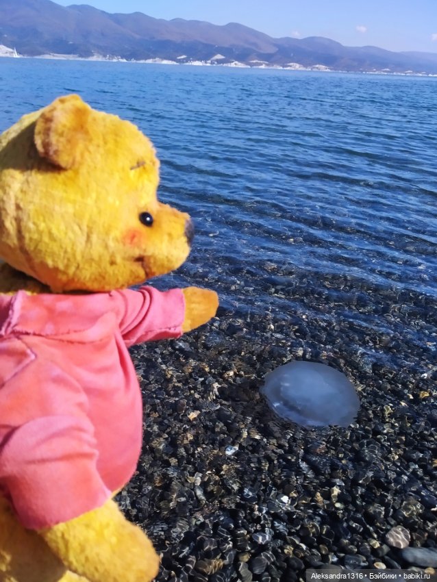 Пух и море...и я и 19 октября