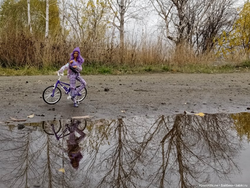 Осеннее (Киëми, Энакин, Юэн, Франческа) (фото 9)