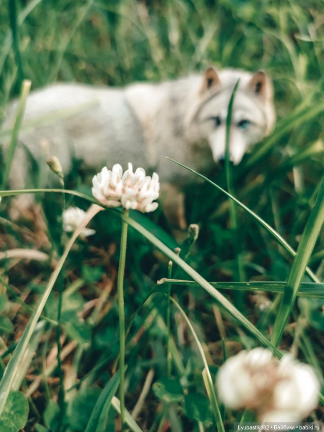 Не замечая — Коллекционные экшн (фото 6)