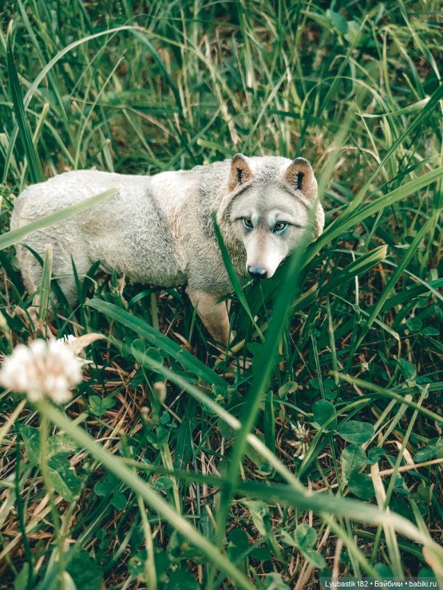 Не замечая — Коллекционные экшн (фото 3)