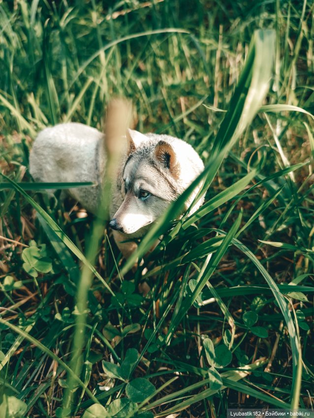 Не замечая — Коллекционные экшн (фото 4)