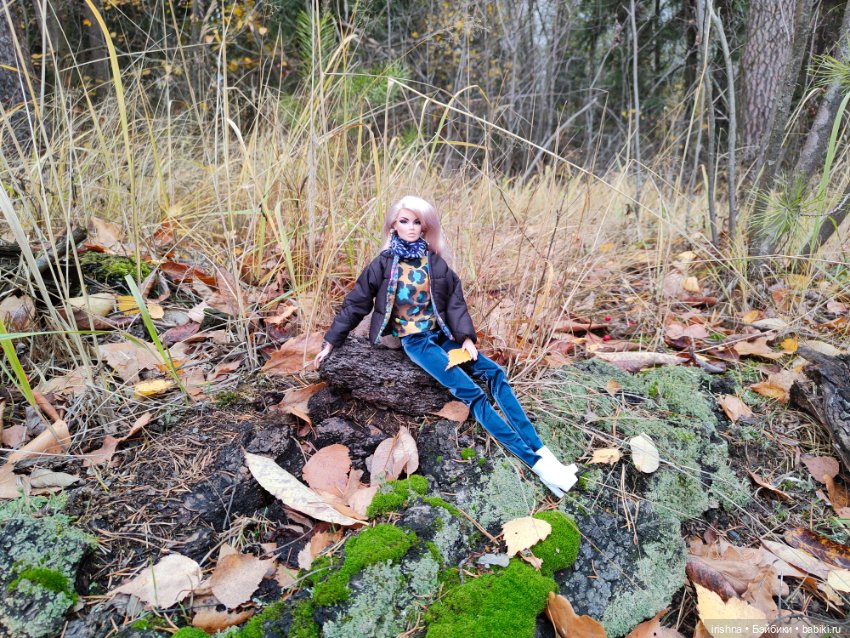 Ванесса. Прогулка в осеннем лесу
