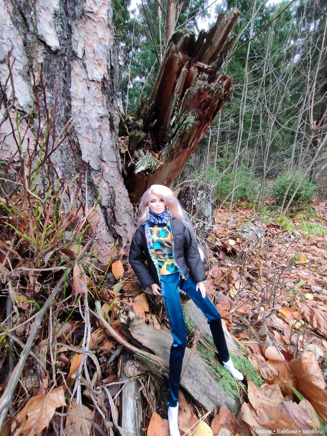 Ванесса. Прогулка в осеннем лесу