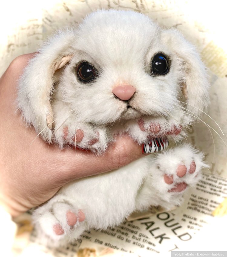 Snowy 🐾🐾🐾 — Реалистичные игрушки и звери (Натюр): собаки