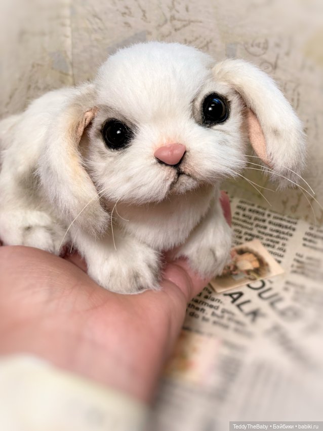 Snowy 🐾🐾🐾 — Реалистичные игрушки и звери (Натюр): собаки (фото 5)