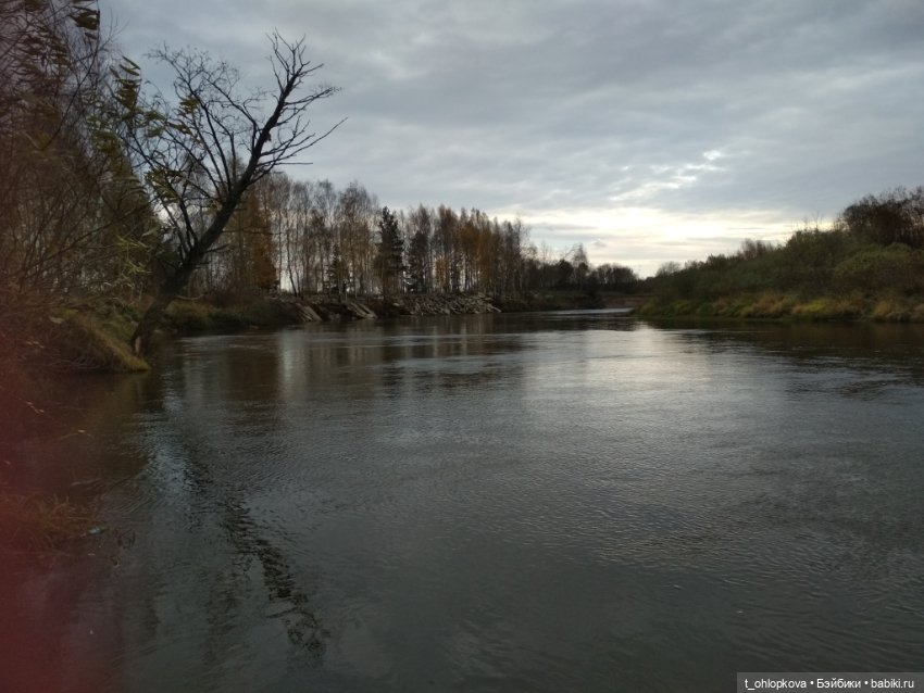 Прогулка в осеннем лесу. Куколка Лив LIV (фото 5)