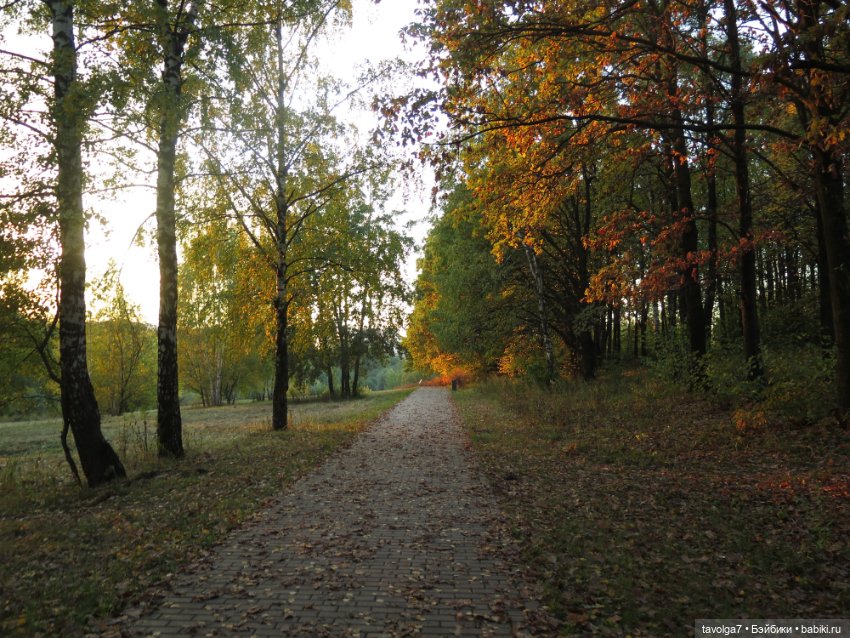 Милая компания в осеннем парке (фото 6)