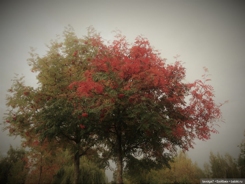 Милая компания в осеннем парке