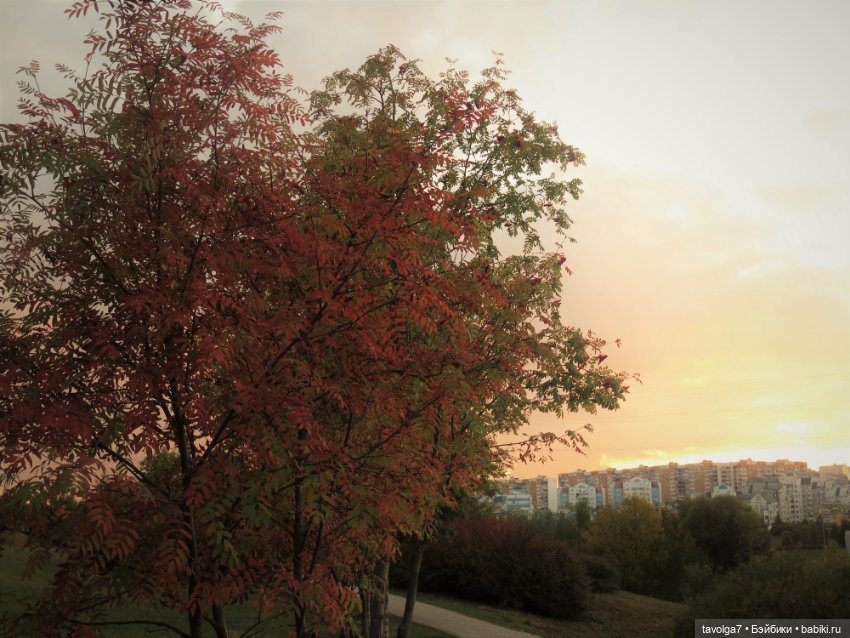 Милая компания в осеннем парке