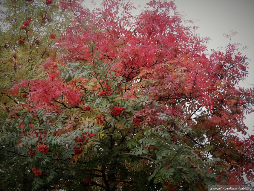 Милая компания в осеннем парке