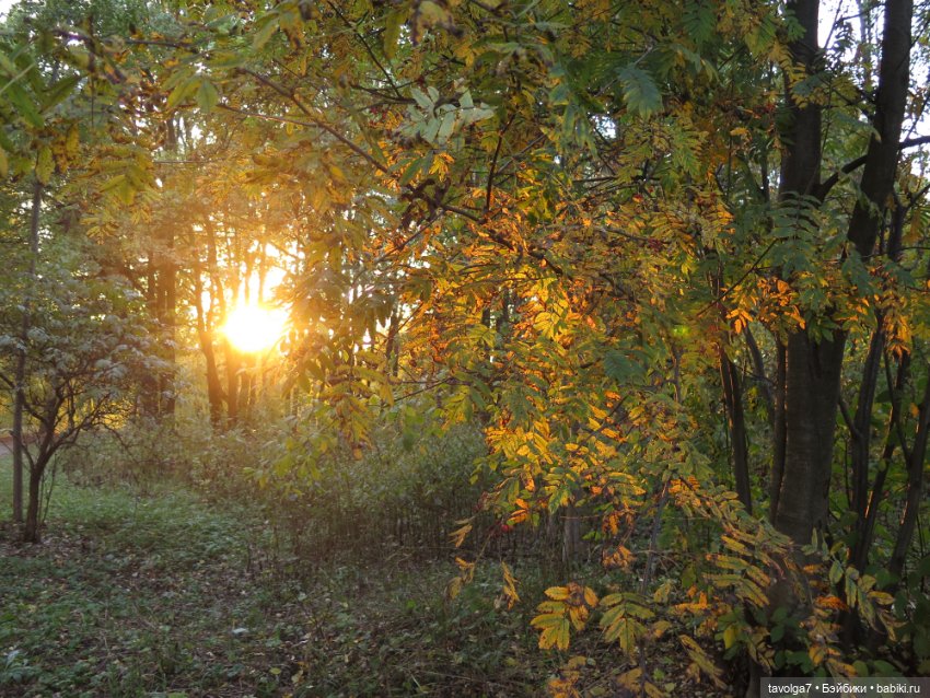 Милая компания в осеннем парке