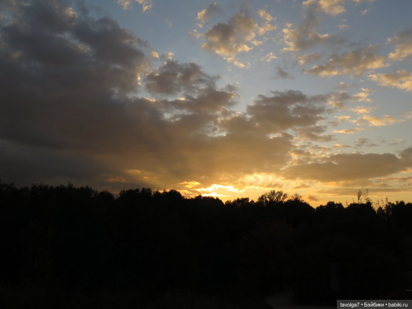 Милая компания в осеннем парке